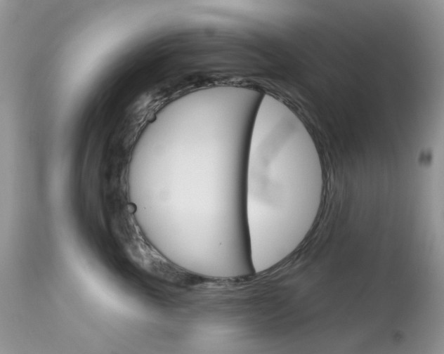 X0000113120763200908281042