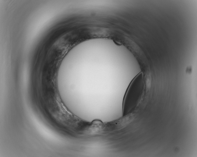 X0000113120764200908281042