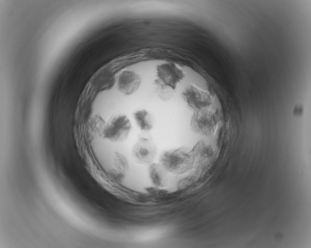 X0000113120765200908281042