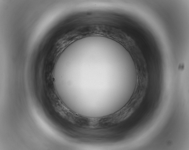X0000113120766200908281042