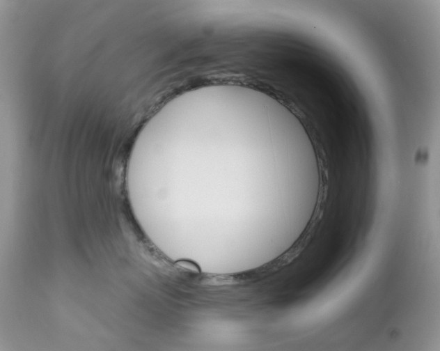 X0000113120767200908281042