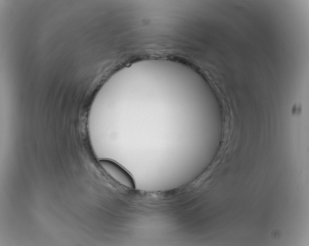X0000113120768200908281042