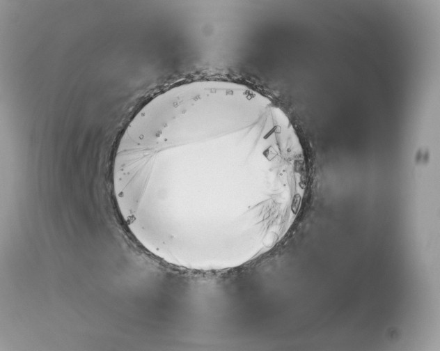 X0000113120769200908281041