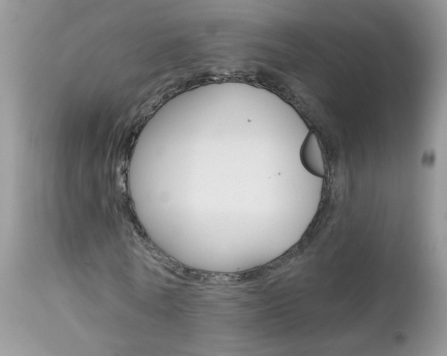 X0000113120770200908281041