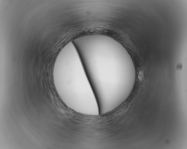 X0000113120771200908281041