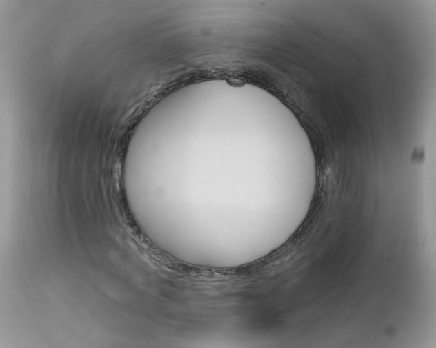 X0000113120772200908281041