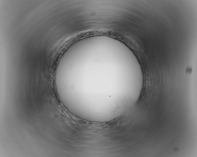 X0000113120773200908281041