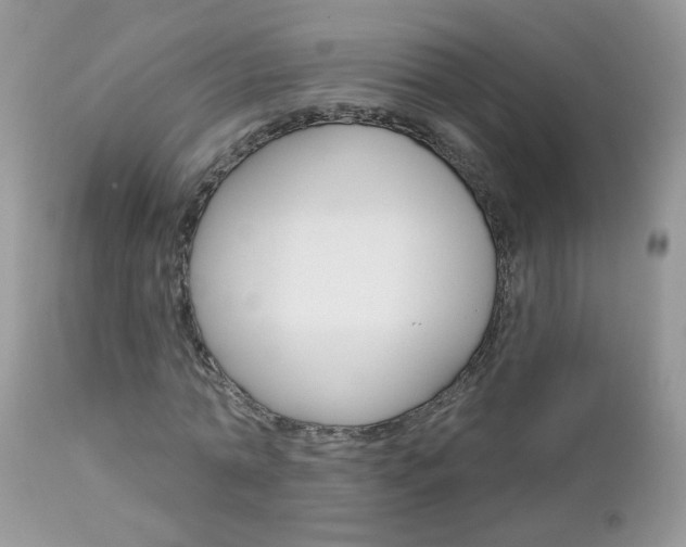 X0000113120774200908281041