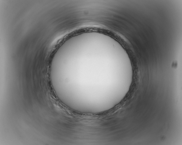 X0000113120775200908281041