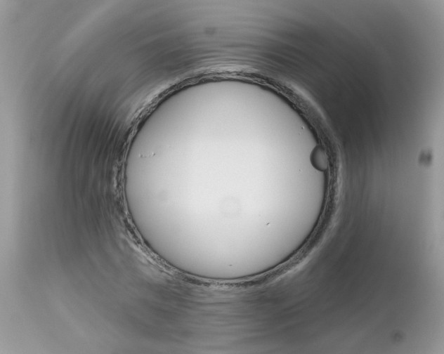 X0000113120777200908281041