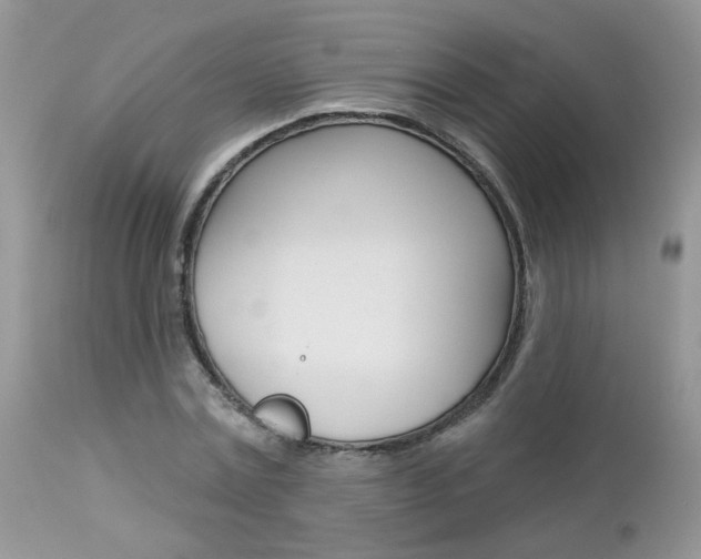 X0000113120779200908281041