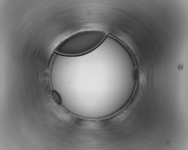 X0000113120781200908281041