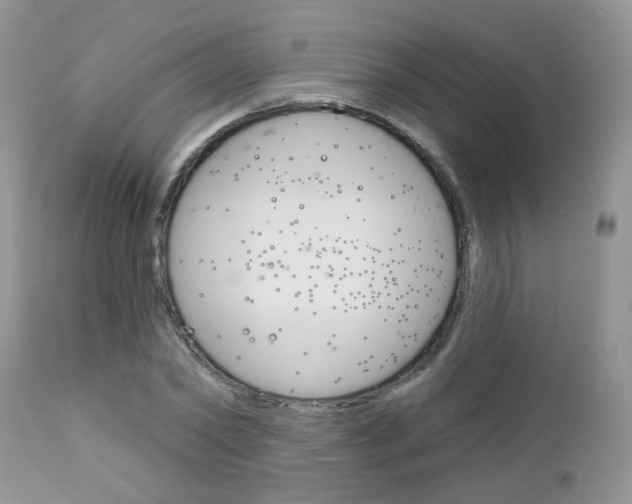 X0000113120782200908281041