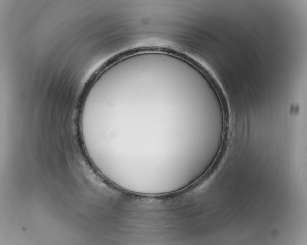 X0000113120783200908281041