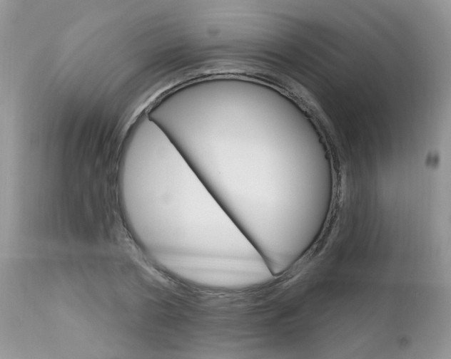 X0000113120786200908281041