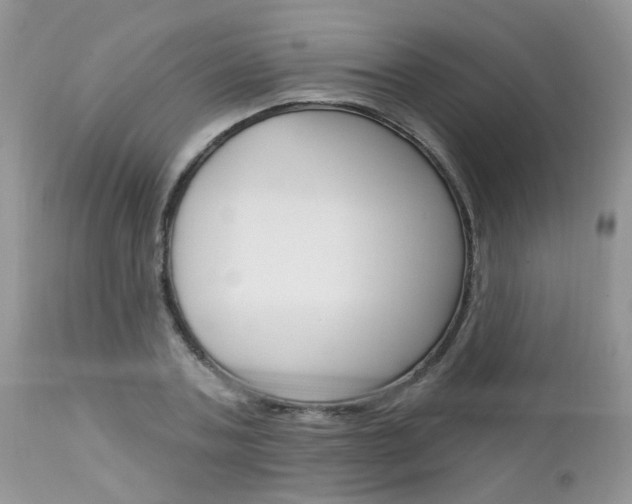 X0000113120787200908281041