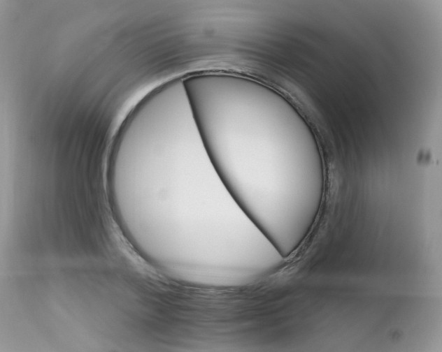 X0000113120788200908281041