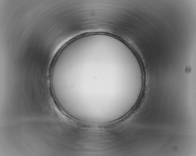 X0000113120789200908281041