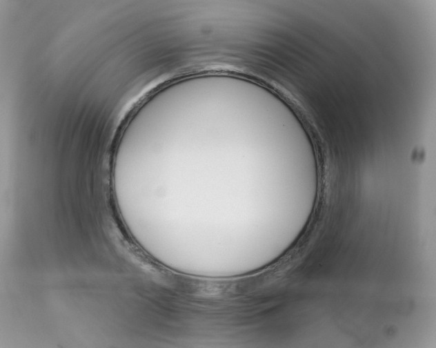 X0000113120790200908281041