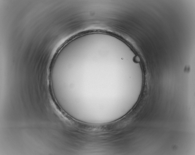 X0000113120791200908281041