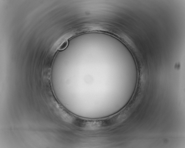 X0000113120793200908281041