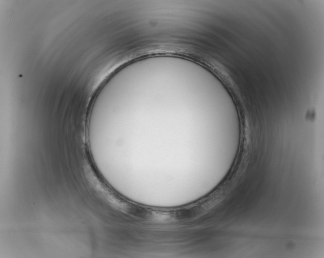 X0000113120794200908281041