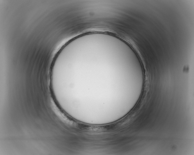 X0000113120795200908281041