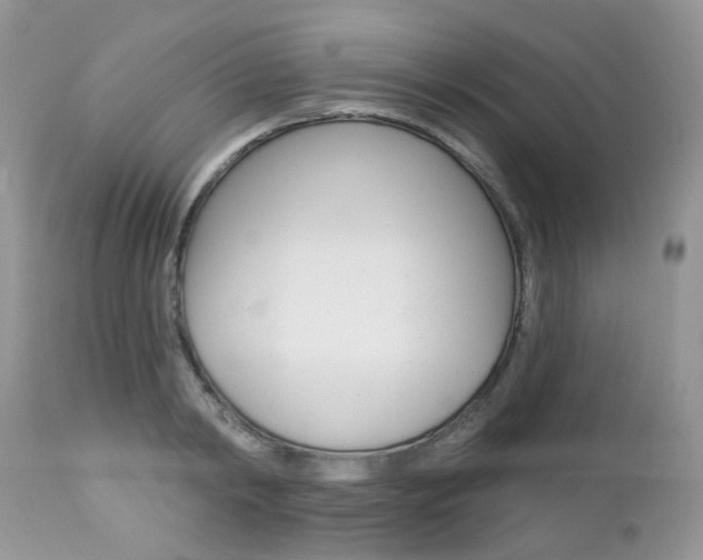 X0000113120798200908281041