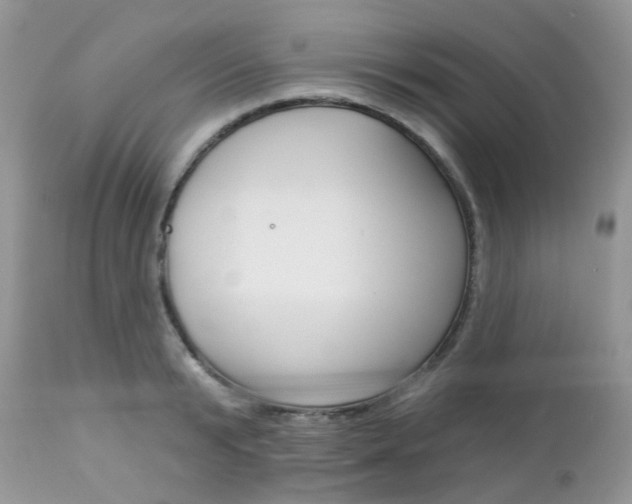 X0000113120799200908281041