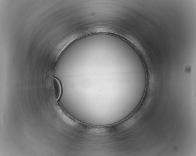 X0000113120801200908281041