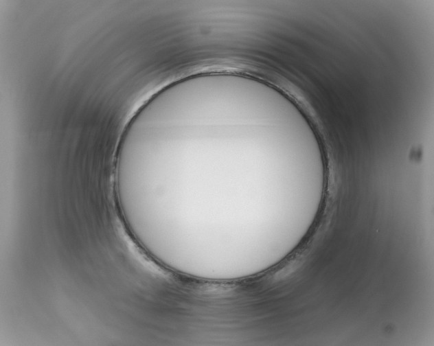 X0000113120802200908281041