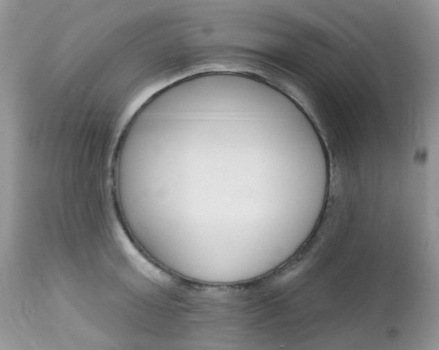 X0000113120803200908281041