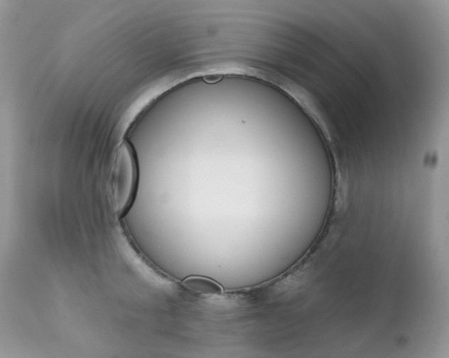 X0000113120805200908281041