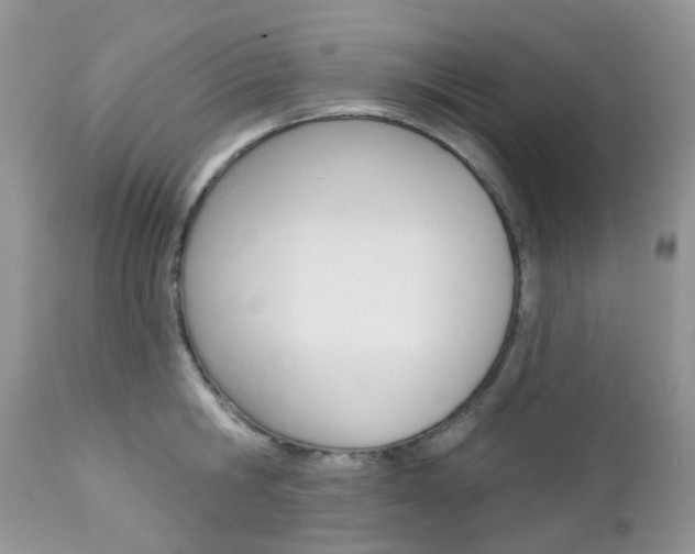 X0000113120806200908281041