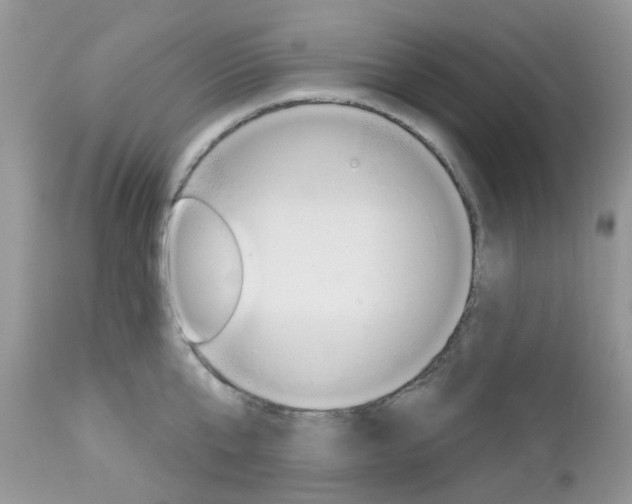 X0000113120807200908281041