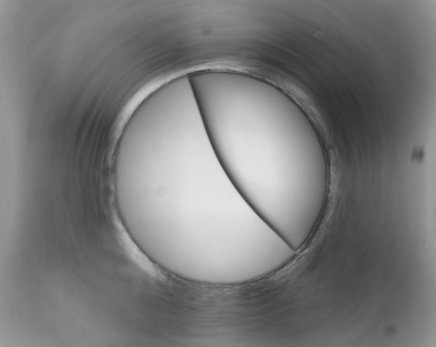 X0000113120808200908281041