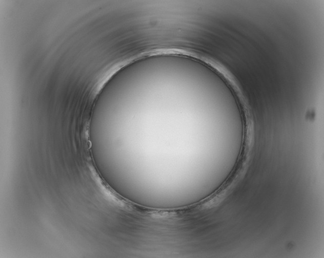 X0000113120809200908281041