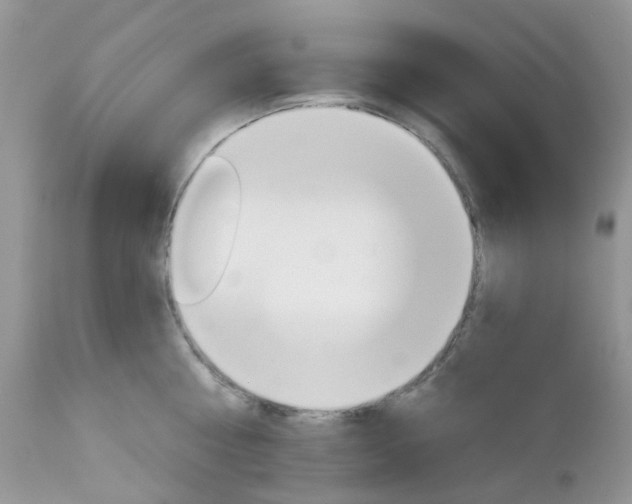 X0000113120810200908281041
