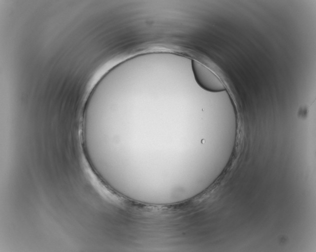 X0000113120811200908281041