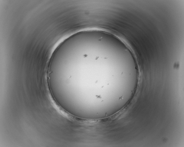 X0000113120813200908281041
