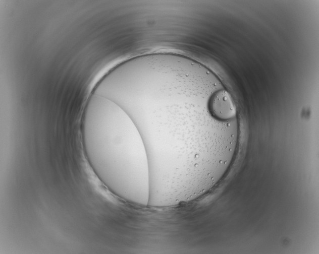 X0000113120814200908281041