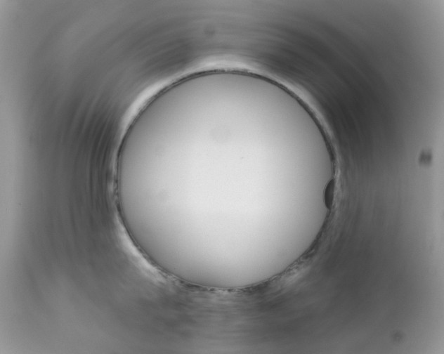 X0000113120815200908281041
