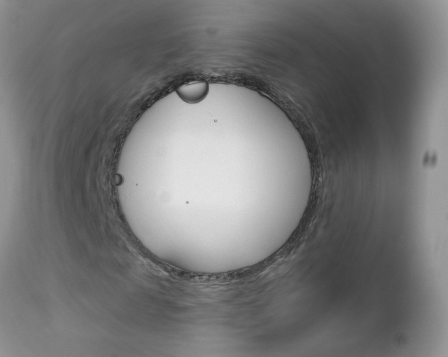 X0000113120817200908281040