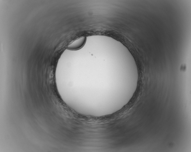 X0000113120818200908281040