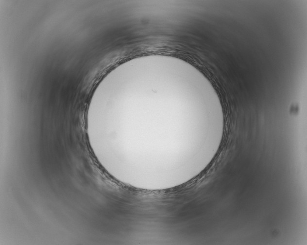 X0000113120820200908281040