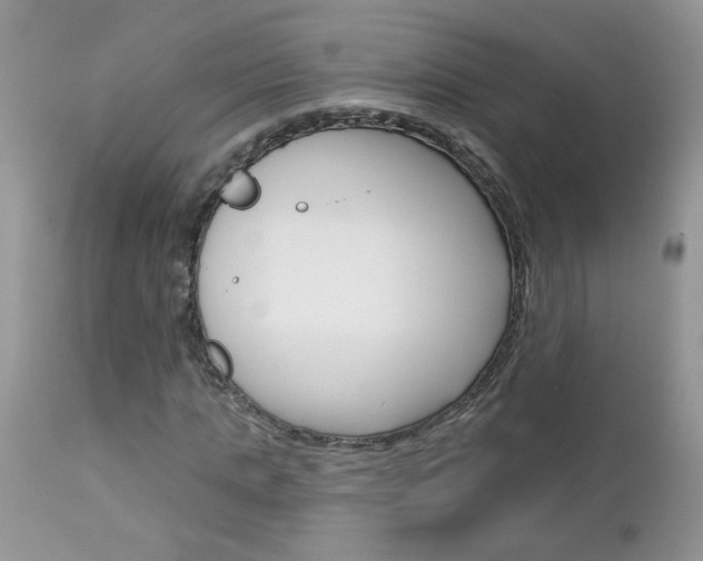 X0000113120821200908281040