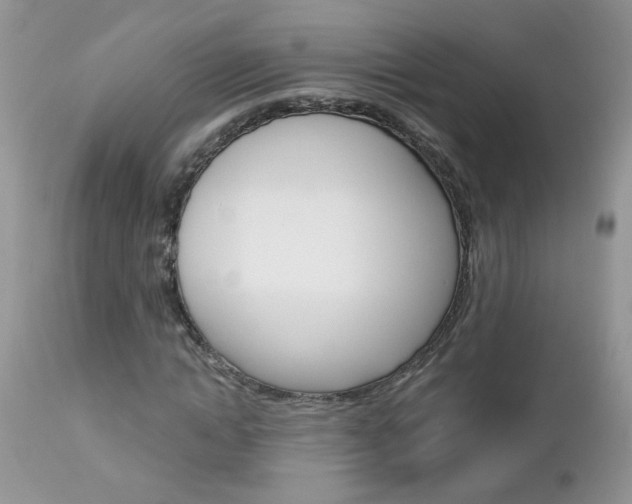 X0000113120822200908281040