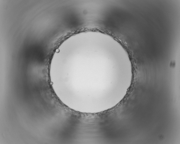 X0000113120824200908281040