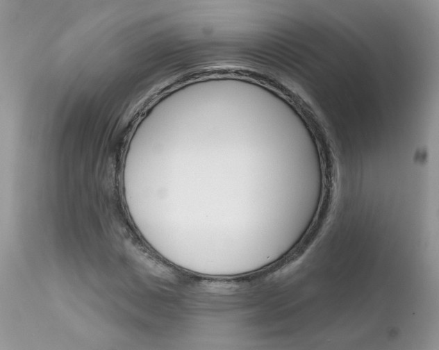 X0000113120825200908281040