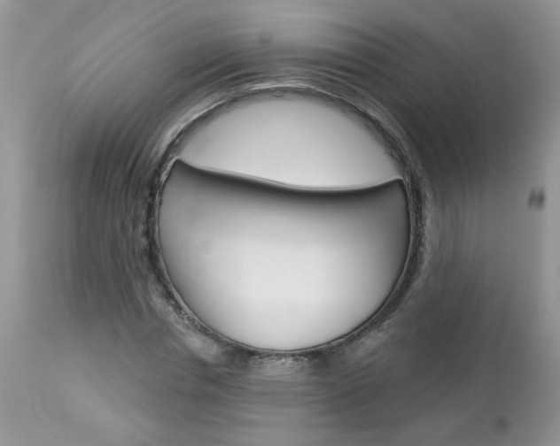 X0000113120826200908281040